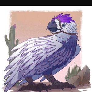 Meet your Posher, King